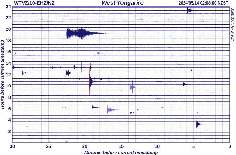 West Tongariro, Volcanic Plateau